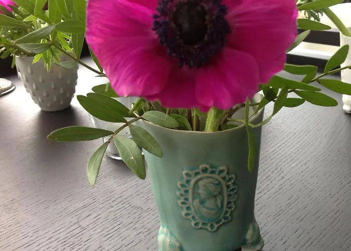 B&B Winterresidentie Tilburg